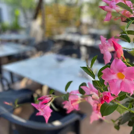 公寓式酒店 Zacaj 4*